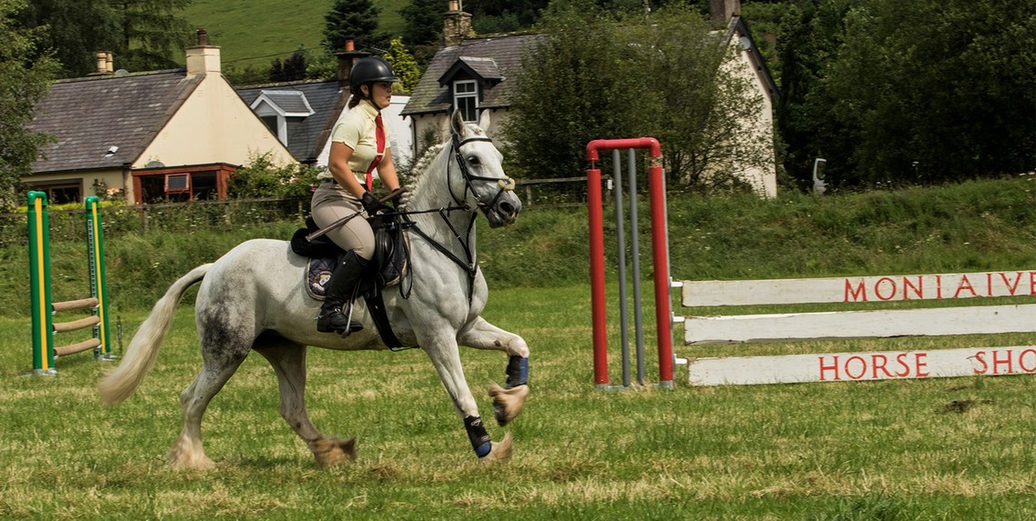 horseshow jumping