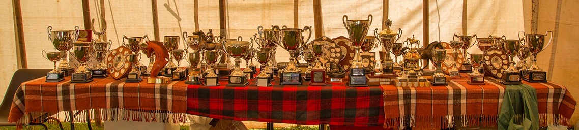 trophies 2022